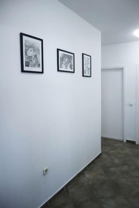 Apartment Tori